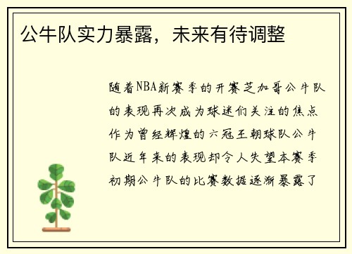 公牛队实力暴露，未来有待调整