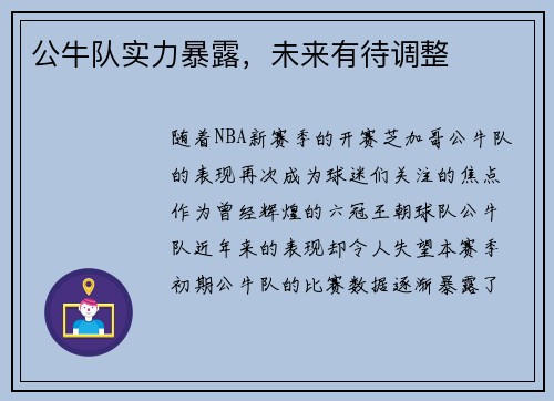 公牛队实力暴露，未来有待调整