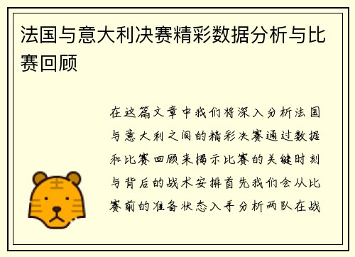 法国与意大利决赛精彩数据分析与比赛回顾