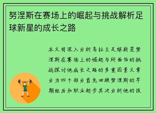 努涅斯在赛场上的崛起与挑战解析足球新星的成长之路
